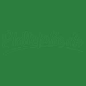 Transparent folie – Oracal 8300-060 Dark green
