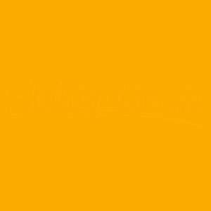 Oracal 651 – 020 – Golden Yellow