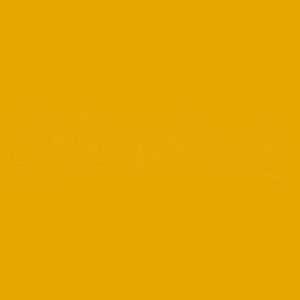 Oracal 651 – 019 – Signal Yellow