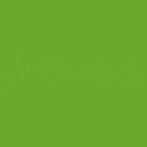 Oracal 651 – 063 – Lime-Tree Green