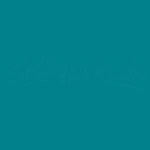 Oracal 651 blank skiltefolie